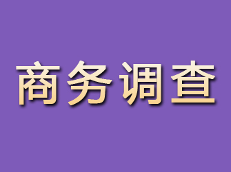 晋城商务调查